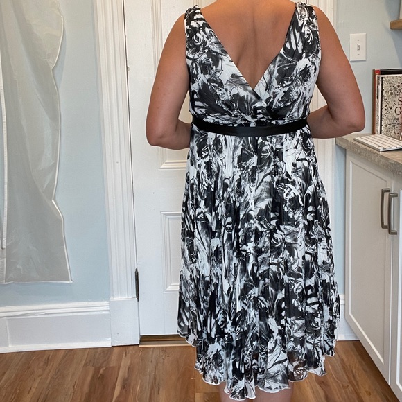 Lapis Black and White V-Neck Swing Dress - Picture 5 of 5